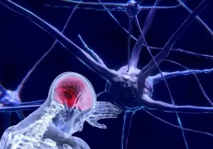 Aporte de Neurociencias para la Cuantificación de daños.