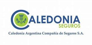 Mi experiencia con Caledonia Seguros en mediación (y algo que me dio resultado).