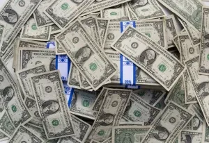 Fundamentos de la dolarización.